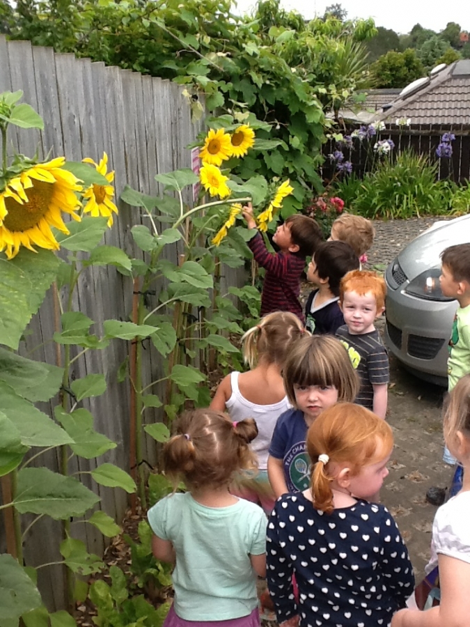 Photo 5 01 15 10 11 29 am