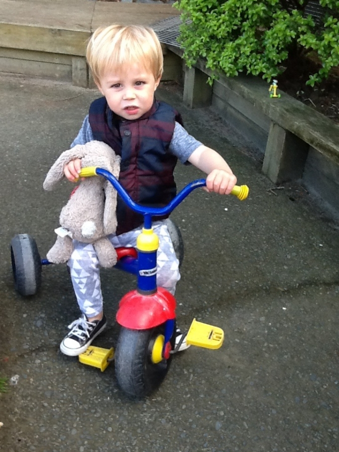 Photo 7 11 14 8 46 48 am 1